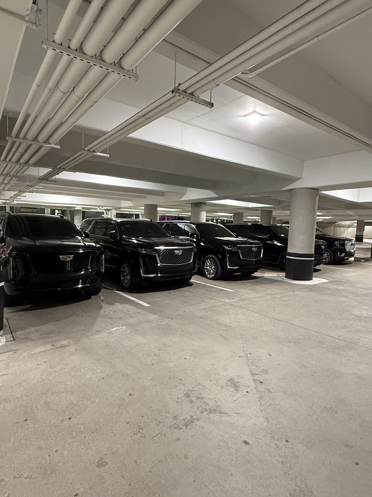 Fleet of vehicles in the garage